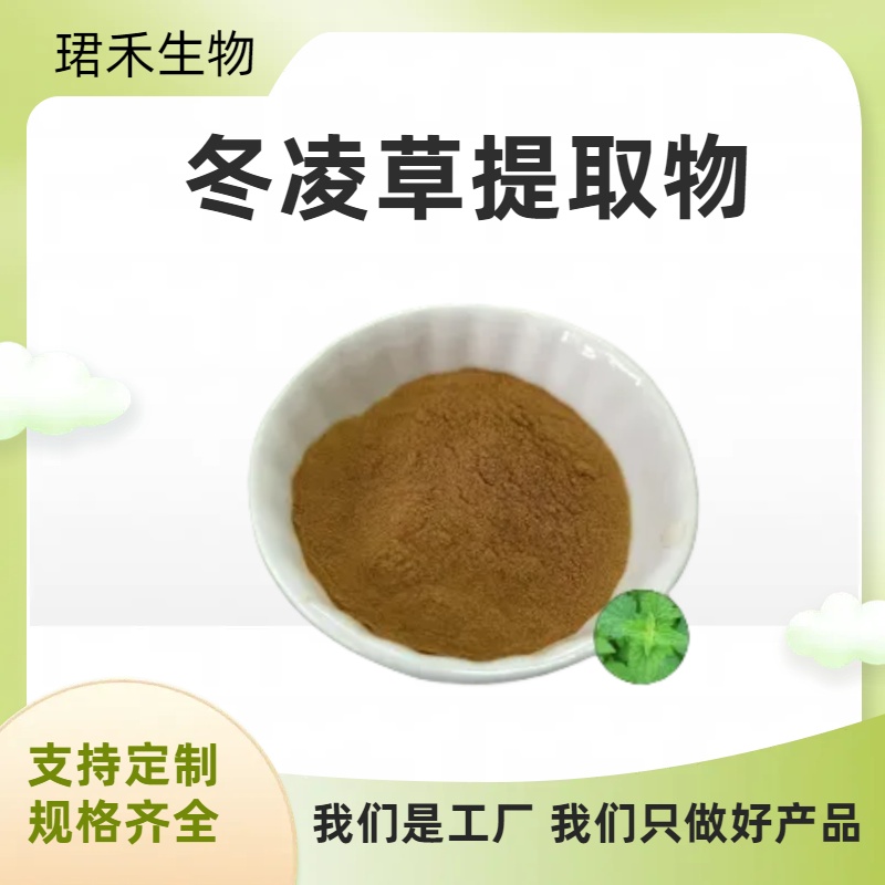 冬凌草提取物 含多糖 水溶性浓缩粉 规格可定制 喷雾干燥工艺