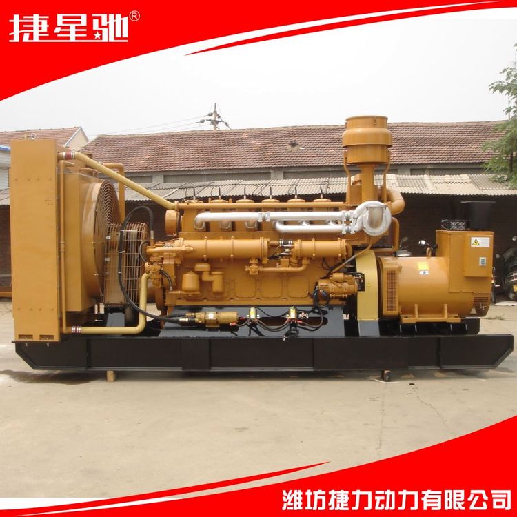 250kw沼气发电机组 原厂定制 稳定发电 大功率低噪音 绿色环保