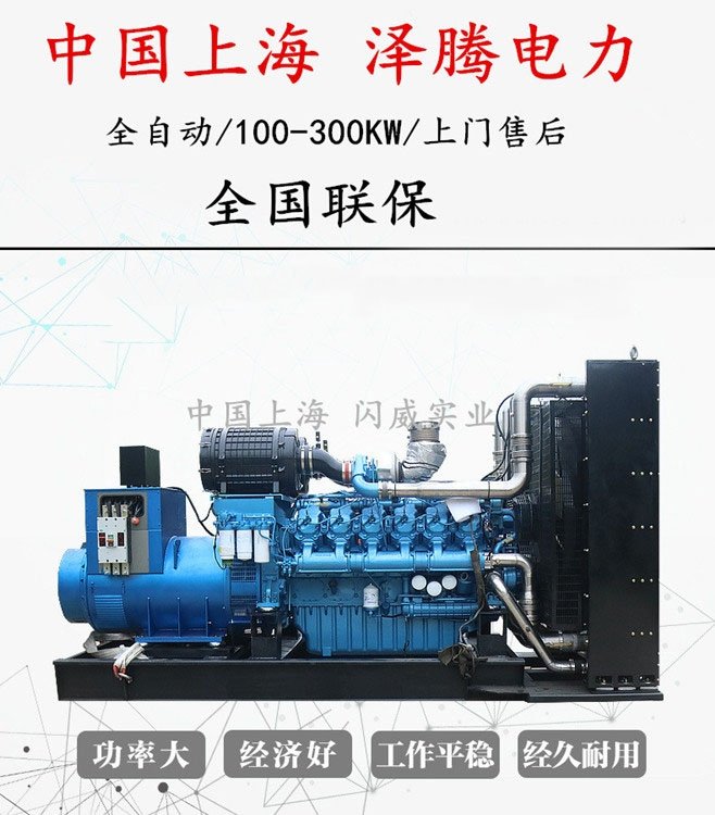泽腾电力300千瓦柴油发电机 300KW 应急电源 大功率