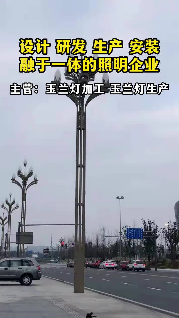 视频