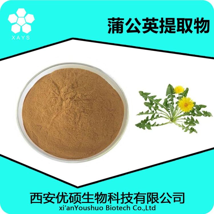 蒲公英提取物10:1 蒲公英多糖 蒲公英根粉优硕生物资质齐全