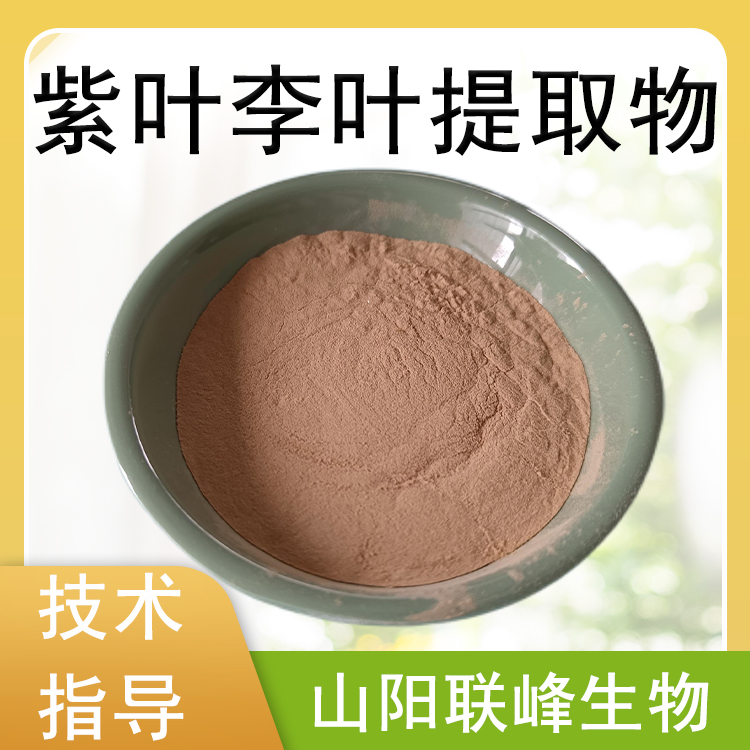 紫叶李叶提取物 10：1水溶浓缩浸膏粉 紫叶李叶粉 喷雾干燥原料