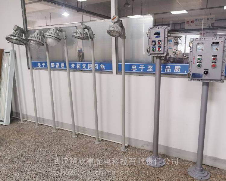 尚为智明 防爆LED灯50W 护栏式LED防爆防水防尘 Exd IIC T4电压AC220V