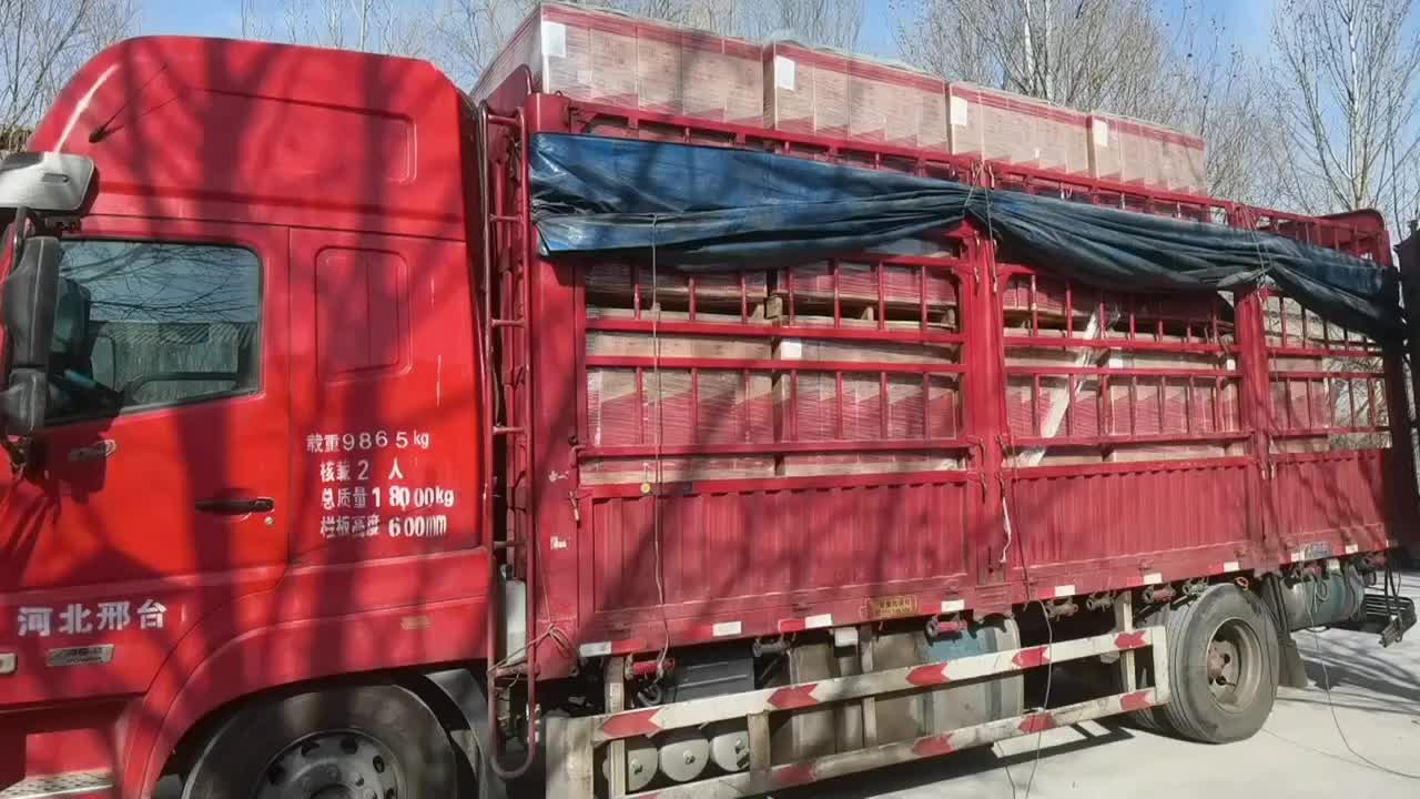 视频