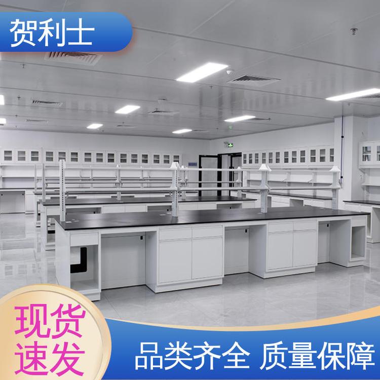 全钢实验台 承重力强 保质保量 精致打造 坚固实用 贺利士