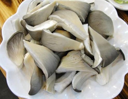 信科平菇农业