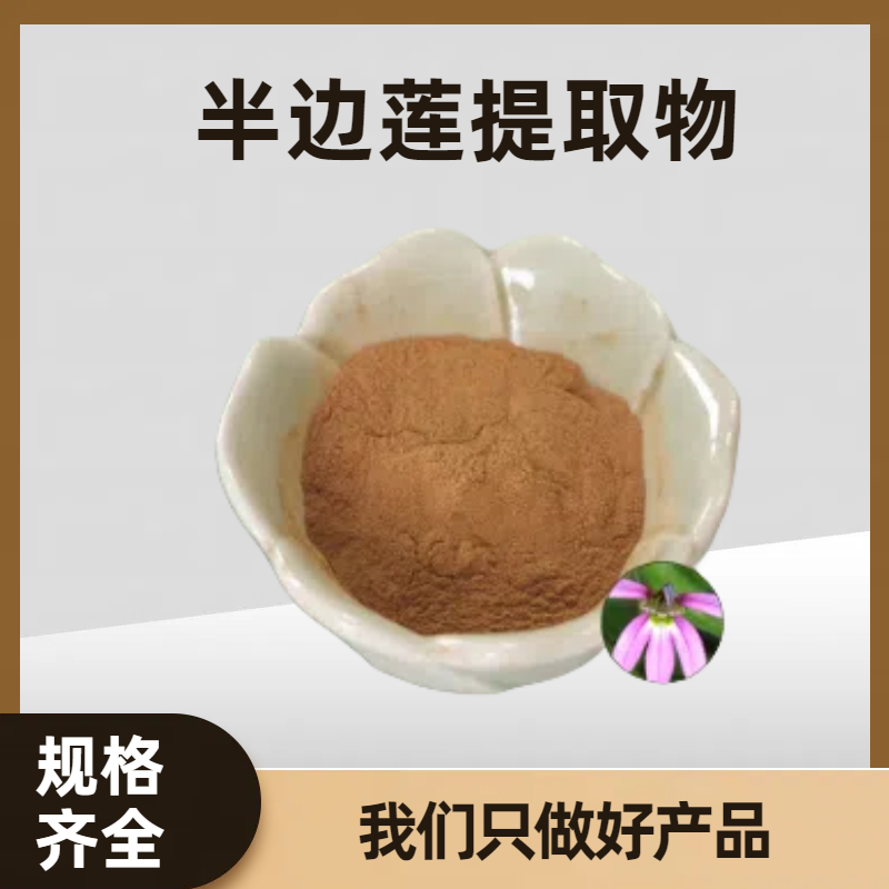 半枝莲粉 半边莲提取物10:1 水溶粉/浸膏 化妆品原料 可定制规格