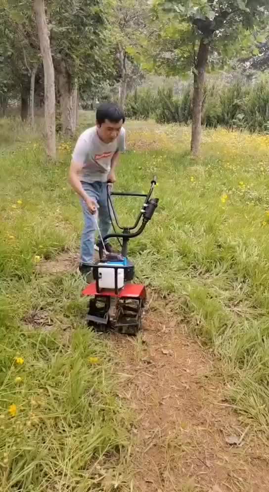 视频