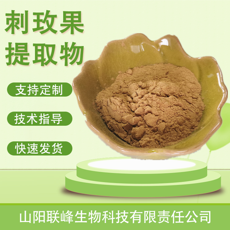 刺玫果提取物 10：1水溶浓缩粉 食品级原料 植物萃取 1公斤起订