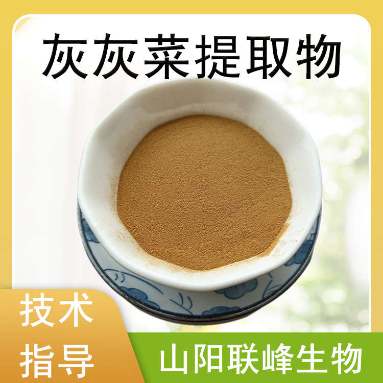 灰灰菜提取物 高倍浓缩野灰菜浸膏喷干粉 比例提取 质量稳定