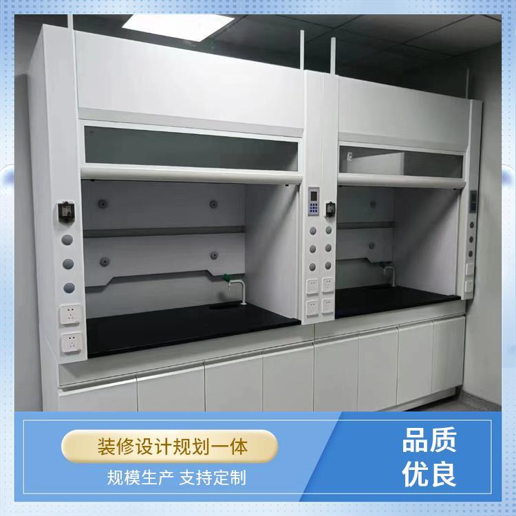 大学高校学校 通风柜排风柜 环氧树脂喷涂 按需定制 尚嘉