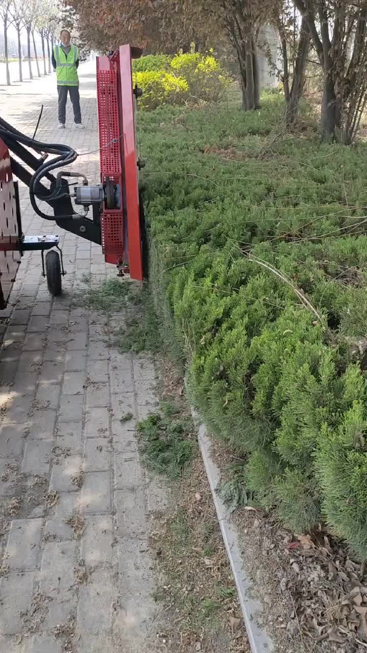 视频