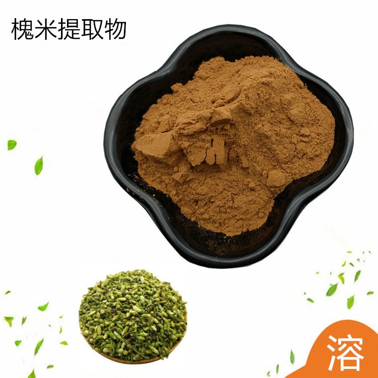 槐米提取物 食品级原料 性状粉末或液体 支持定制生产