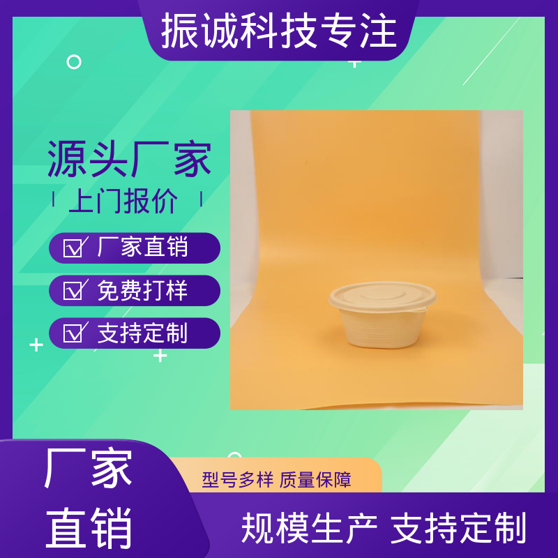 加厚 儿童带餐便携环保 一荤两素套餐碗 一次性打包盒 振诚科技