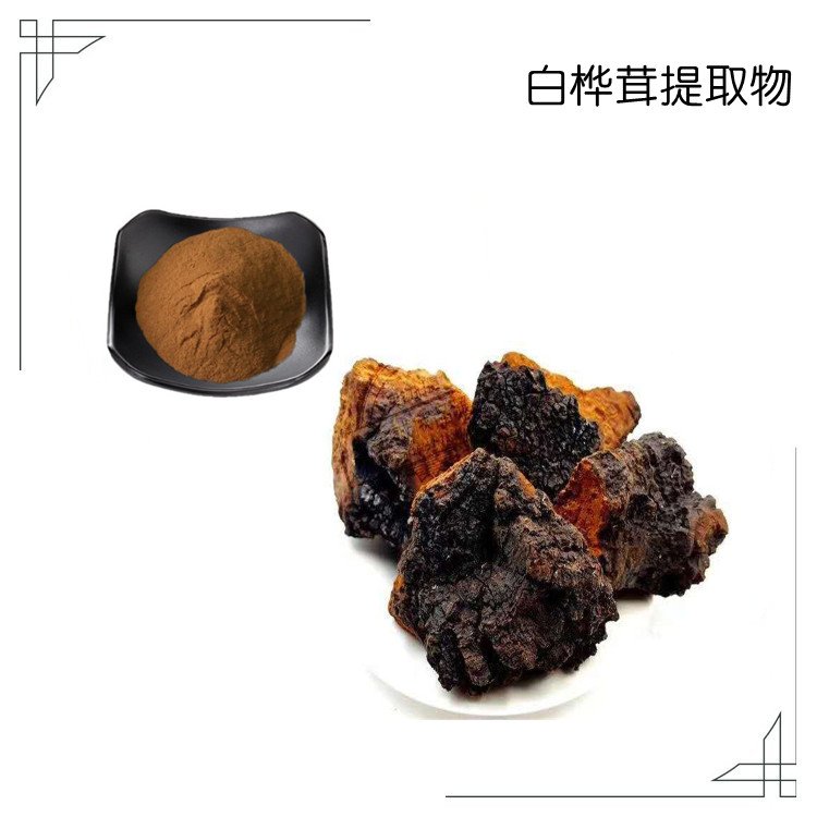 白桦茸粉 含有水溶性多糖 精细粉末 压片制粒均可
