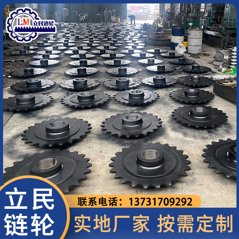 双排链轮 定做加工 非标定制电话 工业传动配件 立民机械