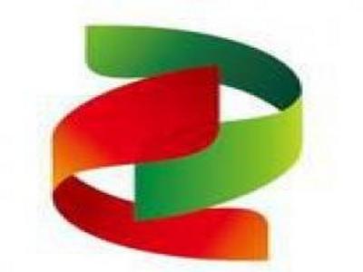 国电投