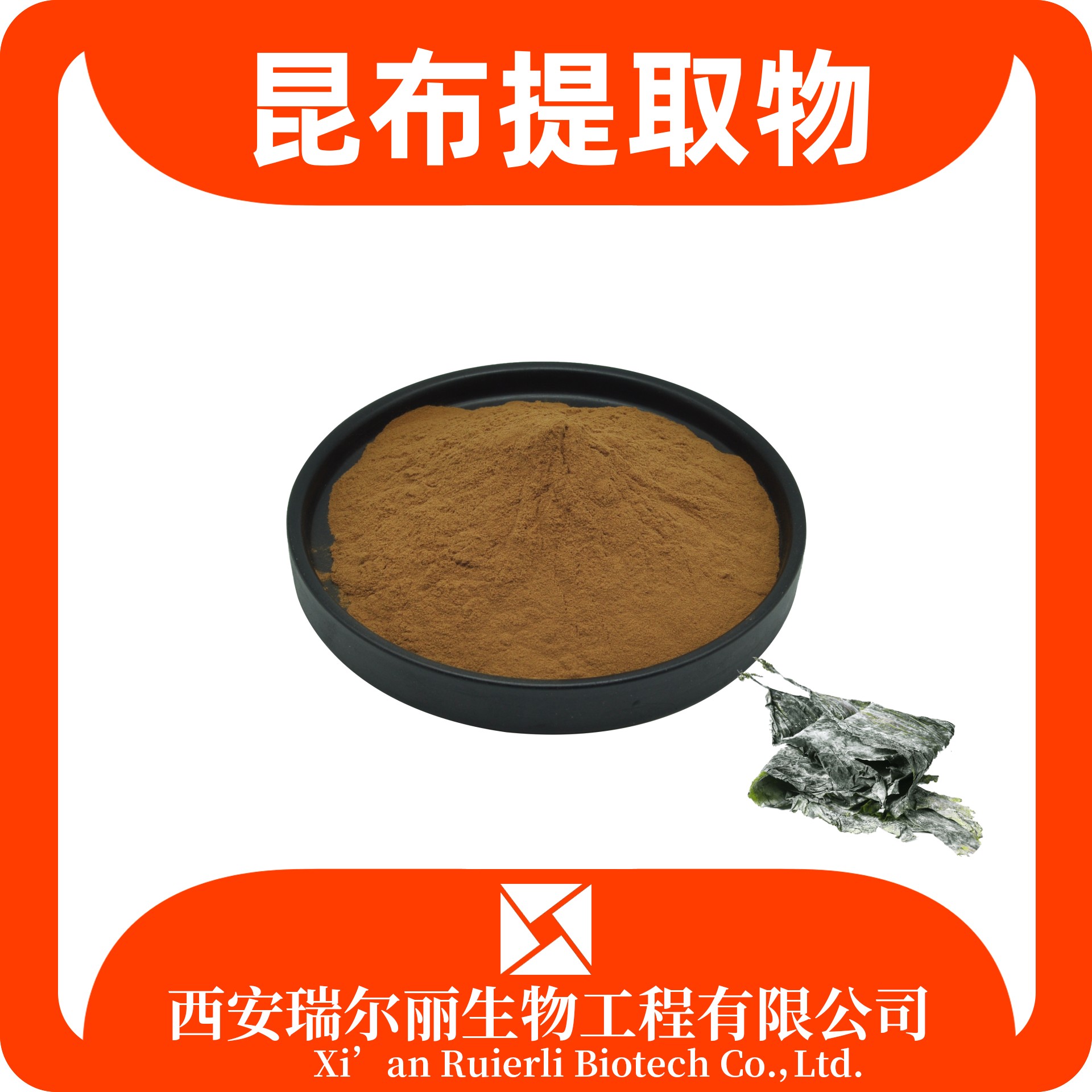 昆布提取物 水溶昆布粉 海带粉 萃取浓缩粉 SC证可定制 瑞尔丽生物 浸膏