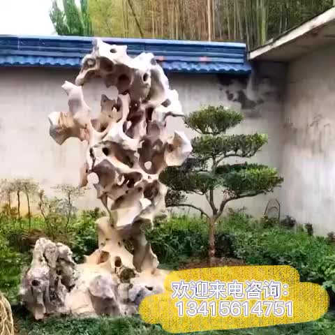 视频