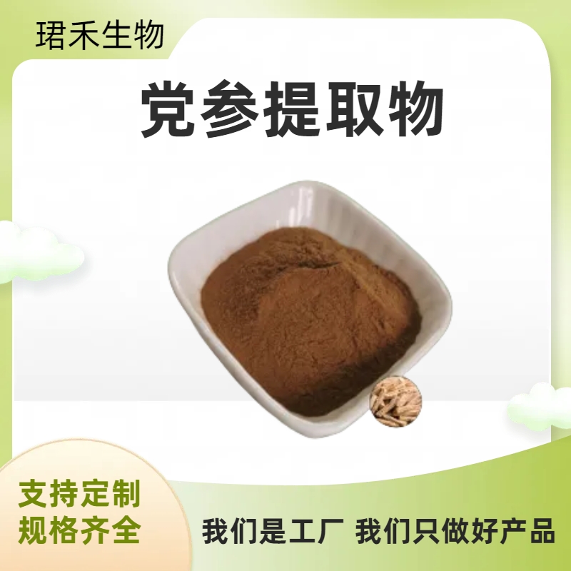 珺禾 优质党参提取物 含党参多糖 狮头参粉 10：1 可定制规格