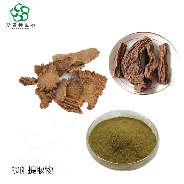 斯诺特 锁阳提取物 喷干粉 原料 过80目筛 溶于水 资质全
