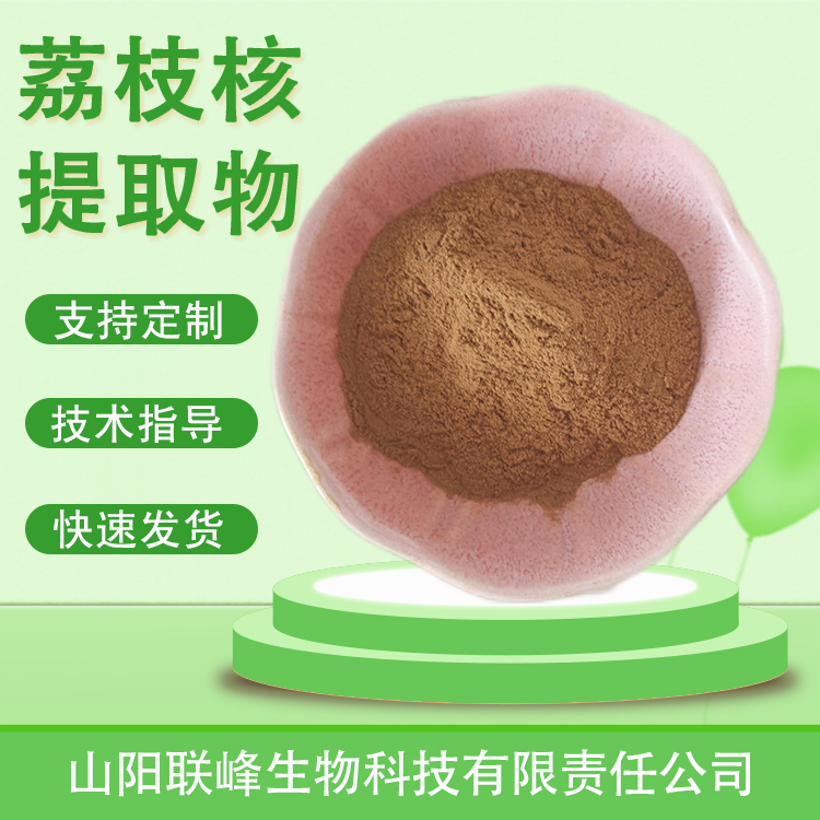 荔枝核提取物 浓缩浸膏粉 荔枝核粉 水提喷雾干燥 多规格