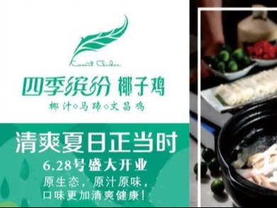四季缤纷椰子鸡