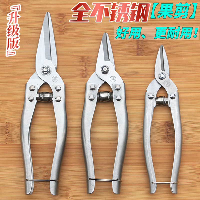 升级版全不锈钢果剪刀工艺藤条剪刀摘果剪采果剪刀柑橘剪修枝剪刀