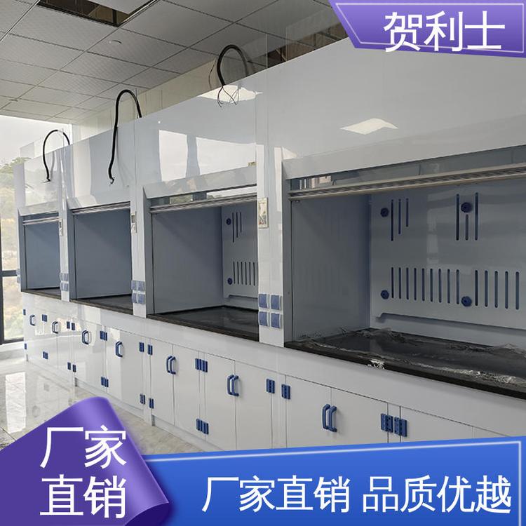 净气型通风柜 防尘防静电 经久耐用 品质卓越 硬度强 贺利士