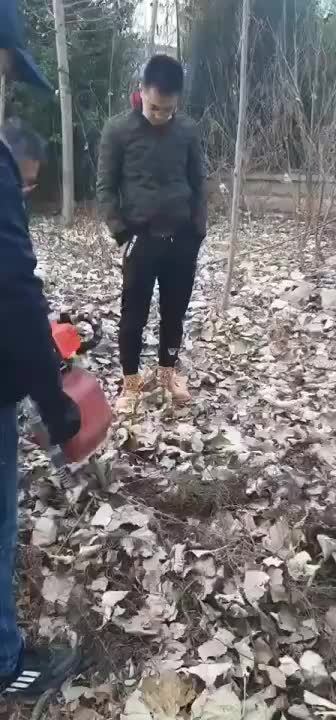 视频