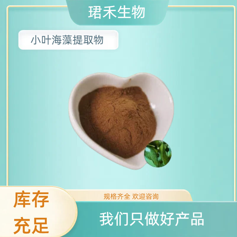小叶海藻提取物 含海藻多糖 浓缩萃取原料 浸膏粉 食品级原料