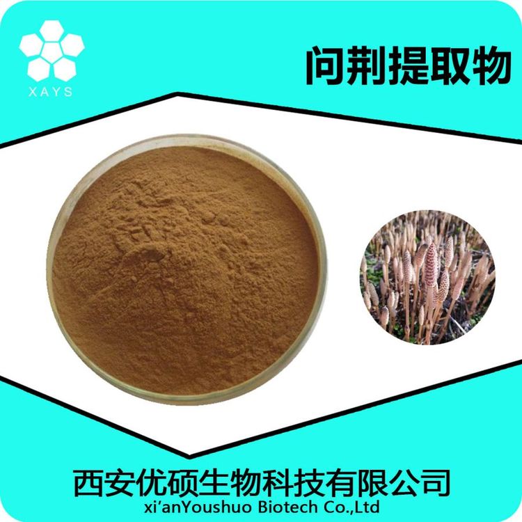 问荆提取物 水溶问荆粉 浓缩粉 可塑性高 应用领域广泛 优硕生物