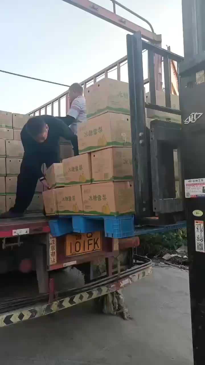视频