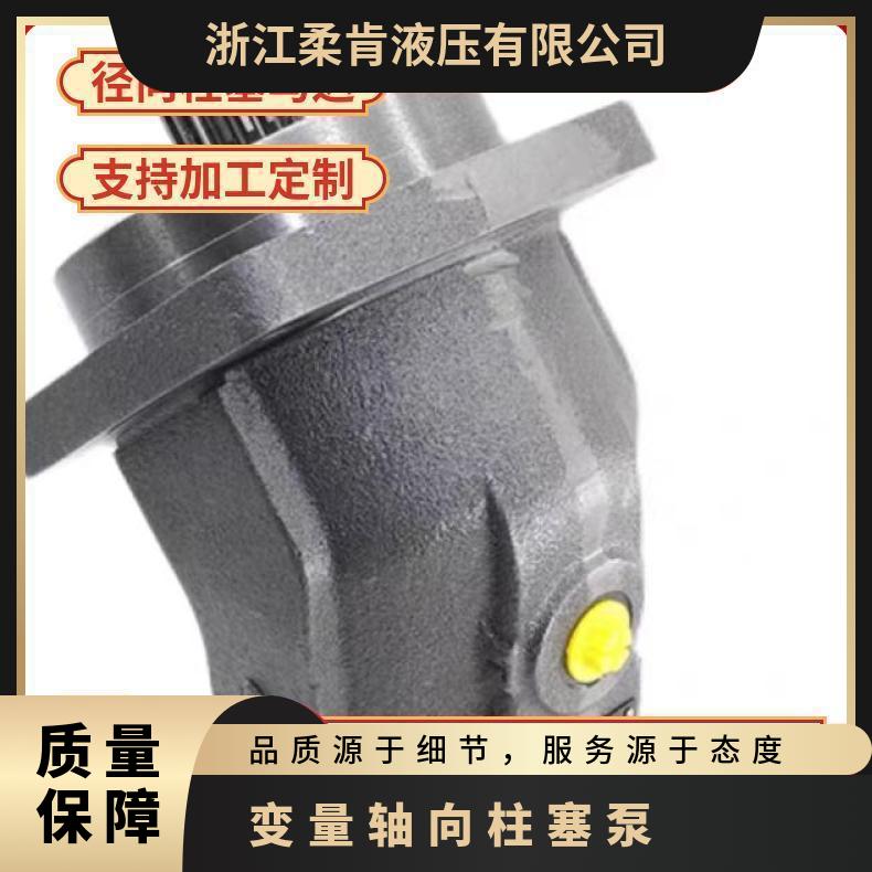爱迪ET柱塞泵H电磁泵 压力大流量稳定交流微型水泵 电蒸炉喷雾器