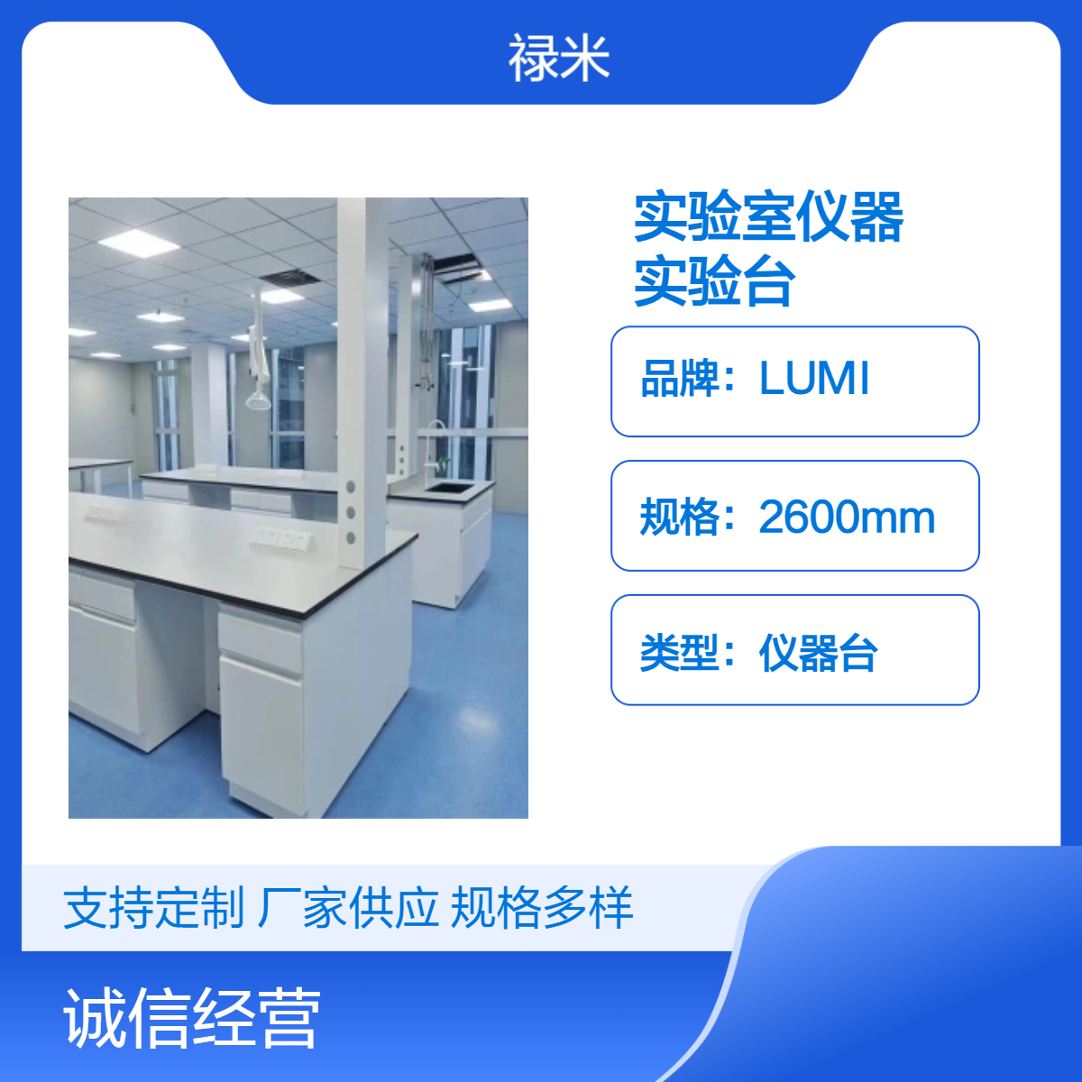 LUMI 研究所实验室仪器 耐热性好全钢实验台可定制
