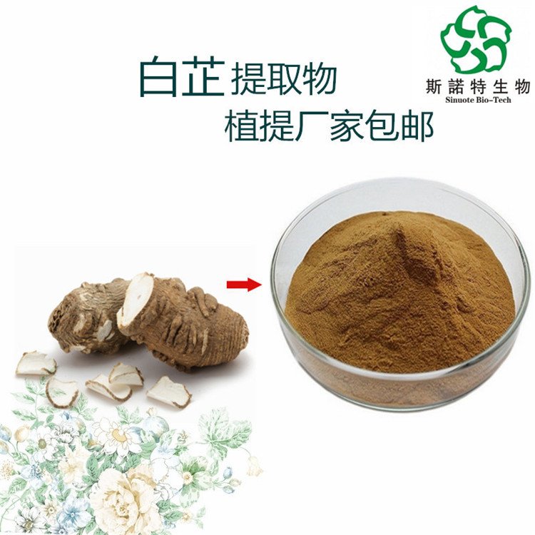 斯诺特 白芷提取物 比例规格 浓缩萃取 浸膏 粉 货源稳定