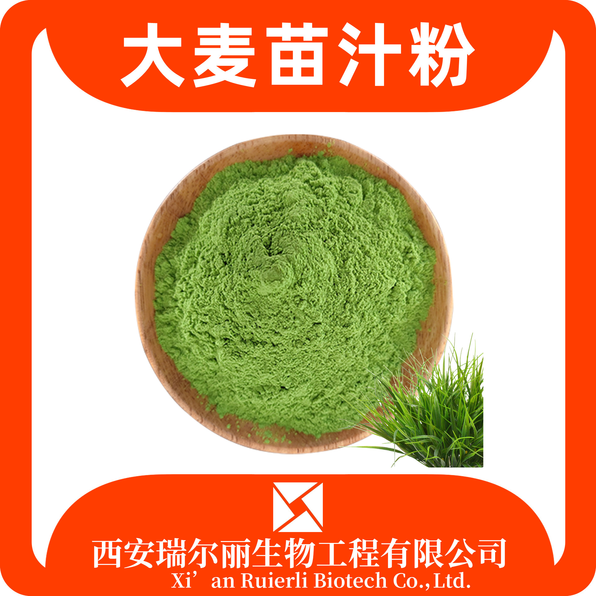 大麦苗汁粉 99% 大麦苗提取物 速溶浓缩 大麦苗浸膏 源头工厂