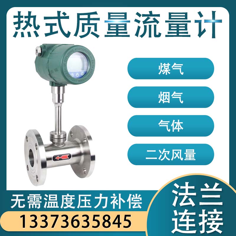 热式气体质量流量计插入式管道式压缩空气天然气氧气