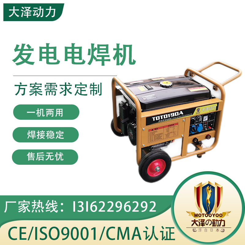 大泽动力小型便携式250A汽油发电电焊机型号TOTO250A-G 厂家供应