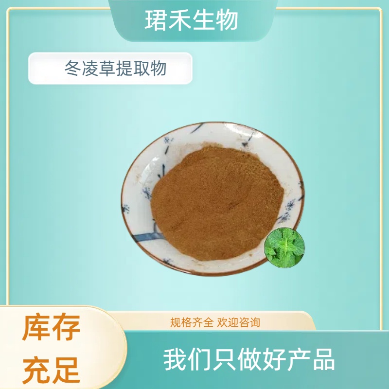 冬凌草提取物10:1 水溶皂苷 雪花草浓缩粉 植物提取原料