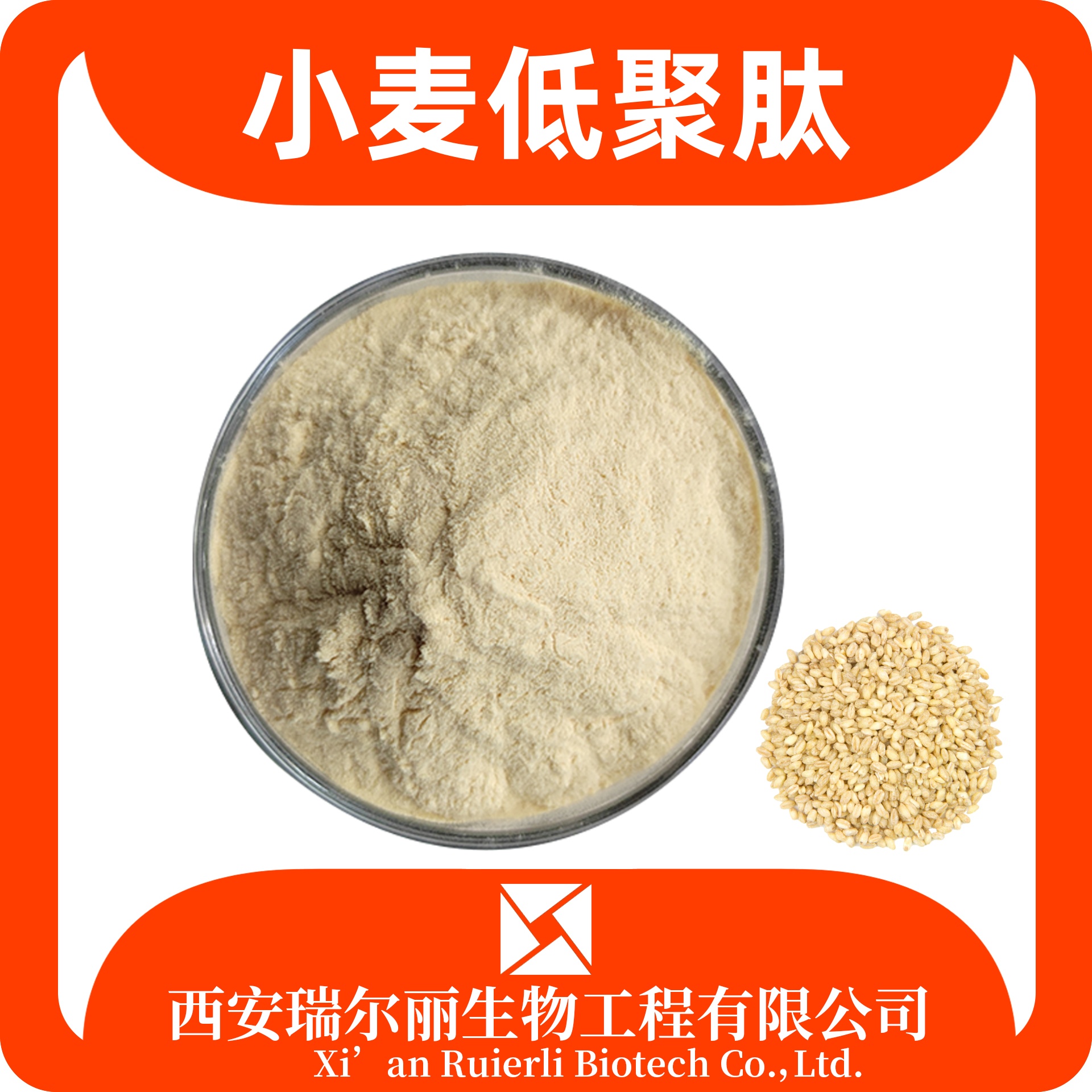 小麦低聚肽 小分子肽 小麦肽 食品原料 瑞尔丽生物资质齐全含运