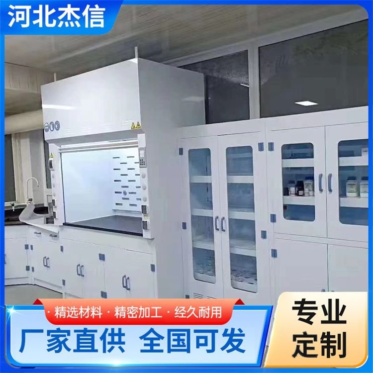加工pp试剂柜 实验室安全柜危化品柜 口碑良好 美观耐用