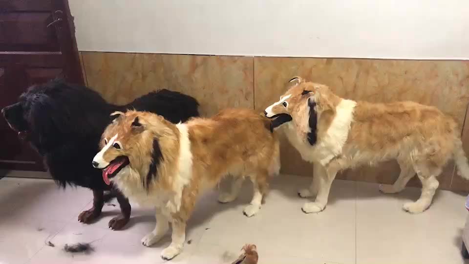 视频