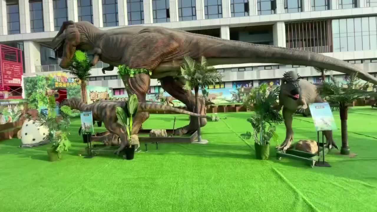 视频