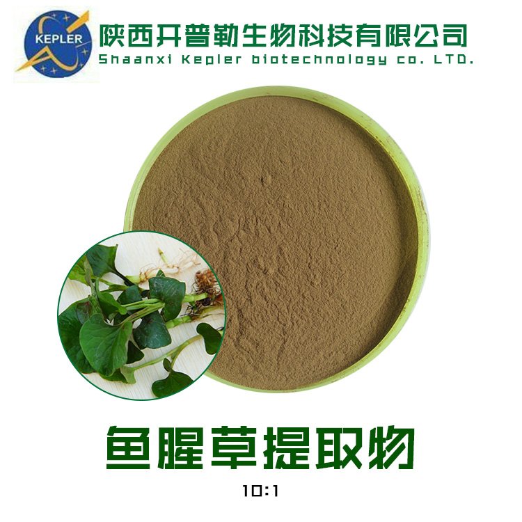 鱼腥草粉 鱼腥草提取物10:1 鱼腥草素支持定制 KPL-0071