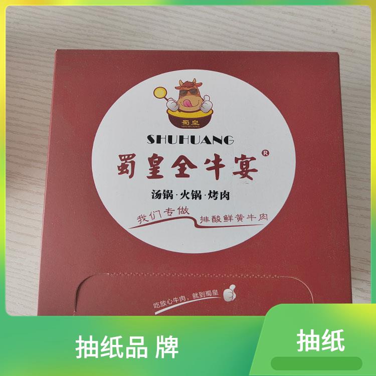 适用于汽车业 抽纸厂家批发 撕开不飞杂质 专业生产厂 家