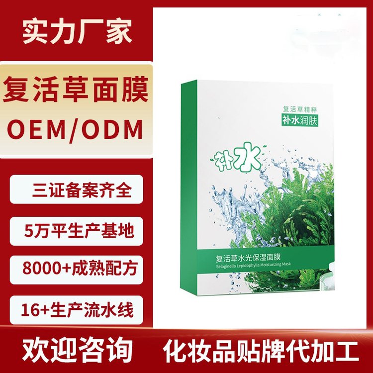 复活草面膜OEM补水保湿敏感肌修复 南非凤凰草提亮肤色