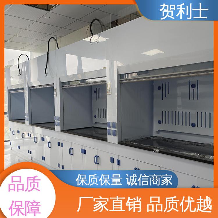 防尘防静电 坚实耐用 匠心打造 实验室通风柜 性能好 贺利士