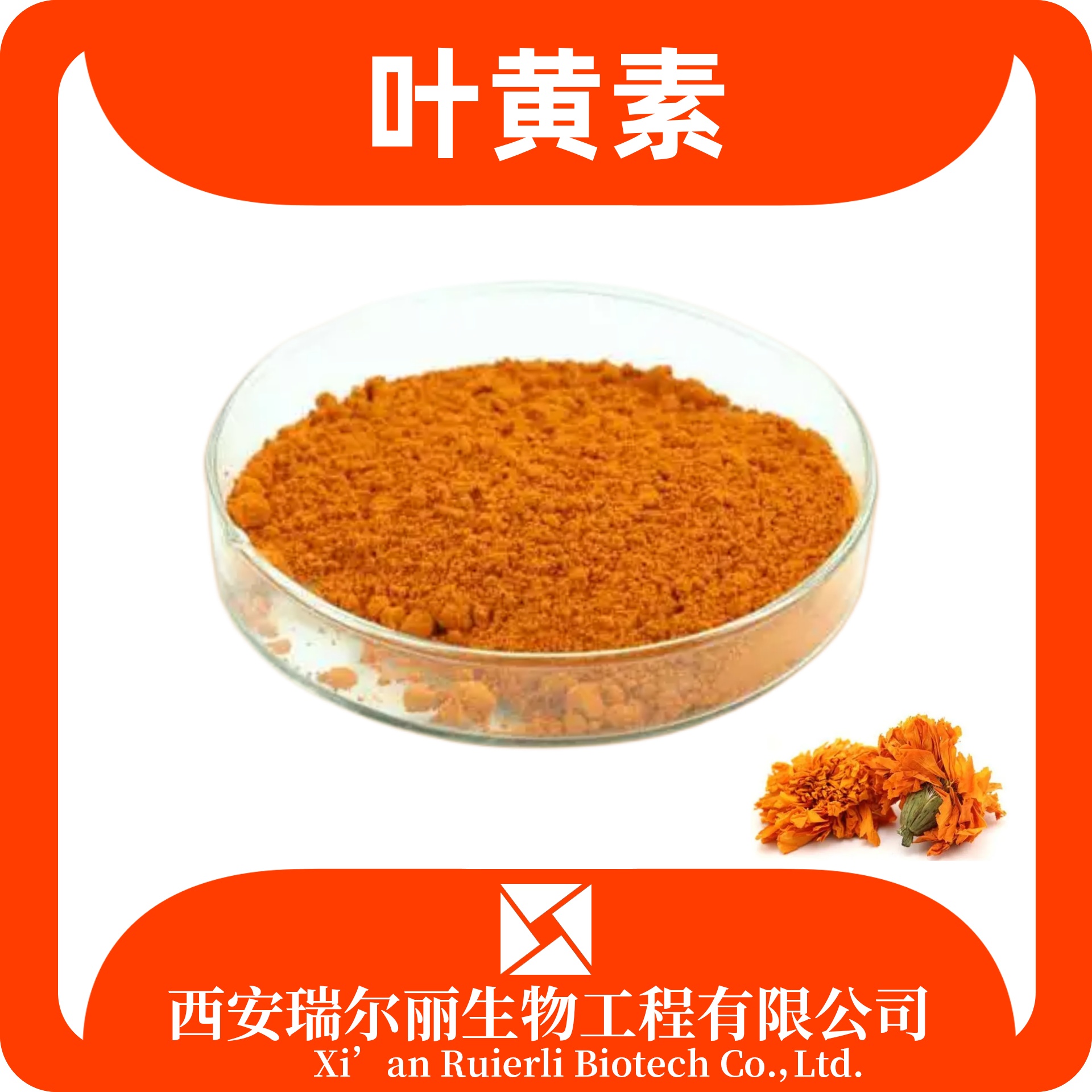 叶黄素5-10% 万寿菊提取物 SC证可定制 饲料可用 瑞尔丽生物
