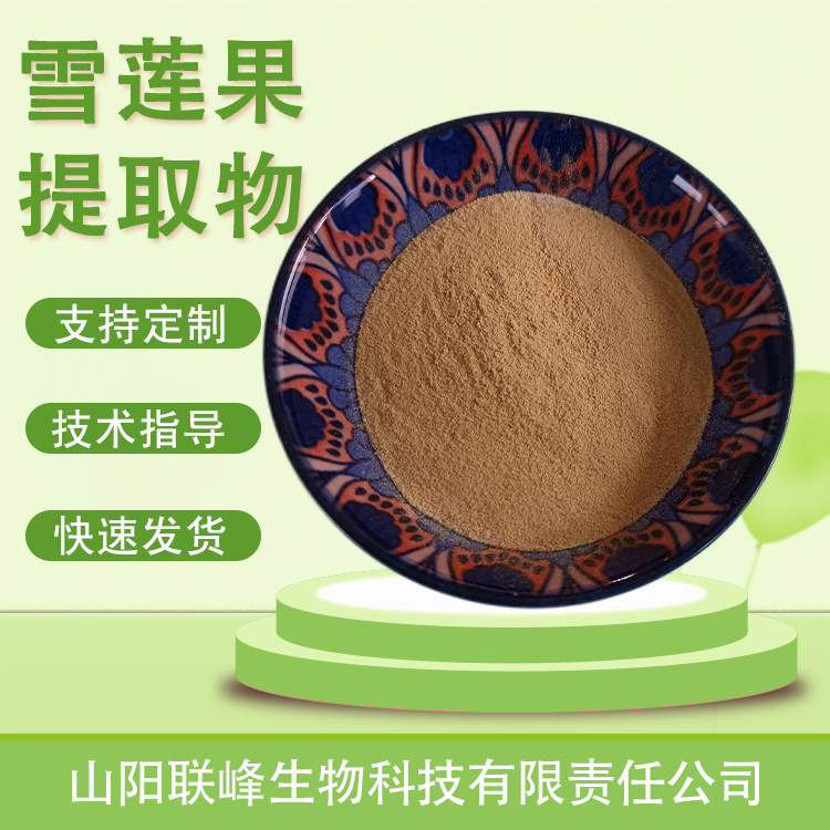 雪莲果提取物 雪莲薯粉 水溶 食品原料 植物萃取 1公斤起订